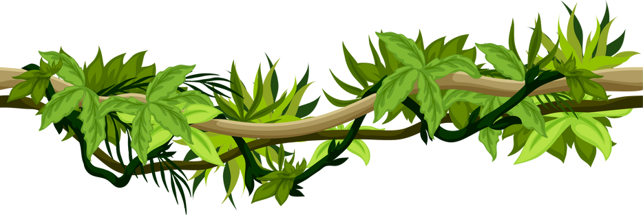 Jungle Vines Plant Cartoon Creeping Botanic Lianas